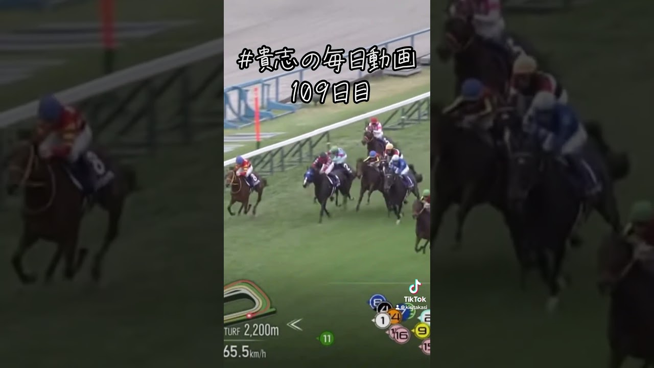 ルメール、岩田過怠金。みんなはどう思う？【エリザベス女王杯】【エリ女】