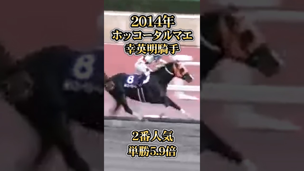【競馬】砂の王者決定戦『チャンピオンズカップ』過去10年の名勝負を振り返る！#Shorts