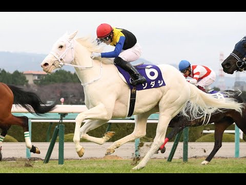 ソダシ　2020年12月13日　阪神ジュベナイルフィリーズ　G1　競走馬　JRA　白毛　吉田隼人騎手クロフネ産駒