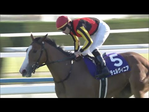 「【白銀の女神】チェルヴィニア全レースまとめ【無敗への挑戦】」