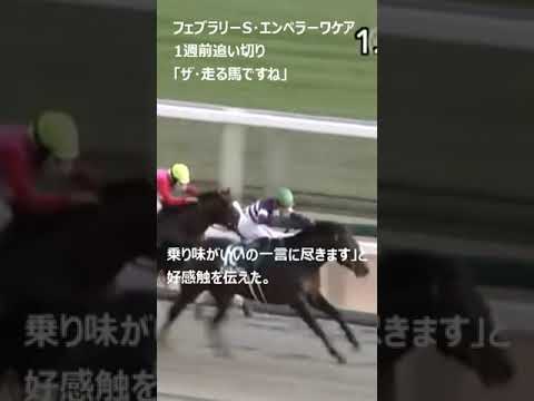 【エンペラーワケア】フェブラリーS。1週前追い切り2月12日栗東。「ザ・走る馬ですね」50秒0―11秒6の好時計 #競馬 #エンペラーワケア #フェブラリーステークス