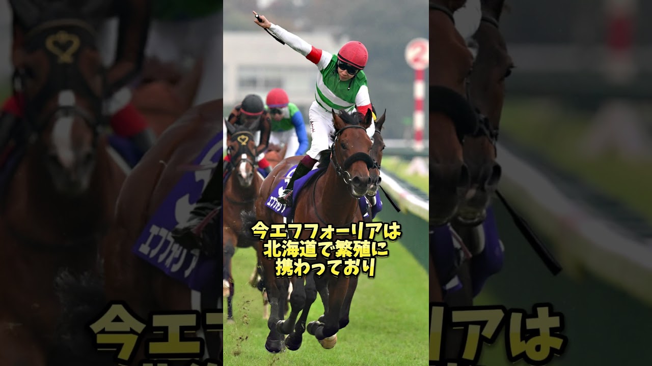 横山武史とエフフォーリア② #横山武史 #エフフォーリア