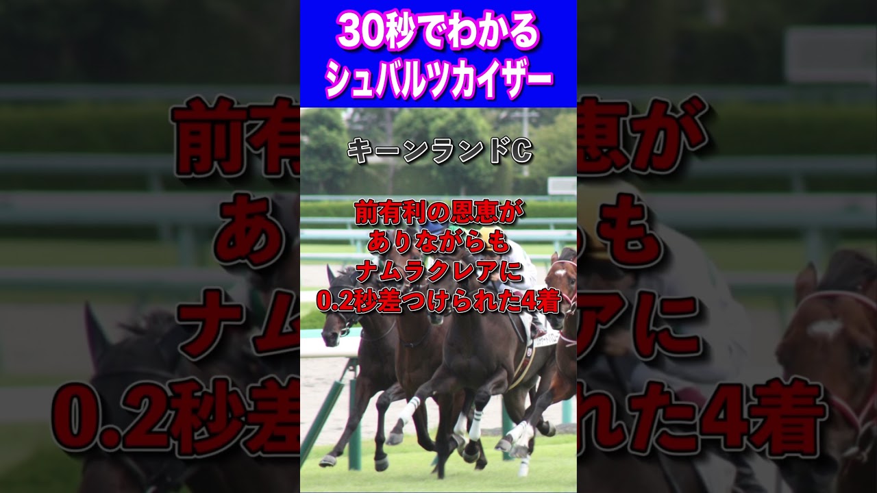 【高松宮記念2024】30秒でわかるシュバルツカイザー