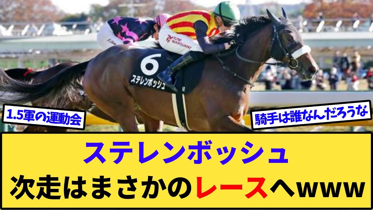 【速報】桜花賞馬ステレンボッシュ、次走はまさかのレースへwww