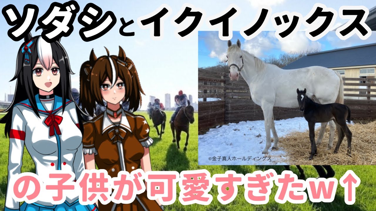 イクイノックスとソダシの子供が可愛すぎる件🐴