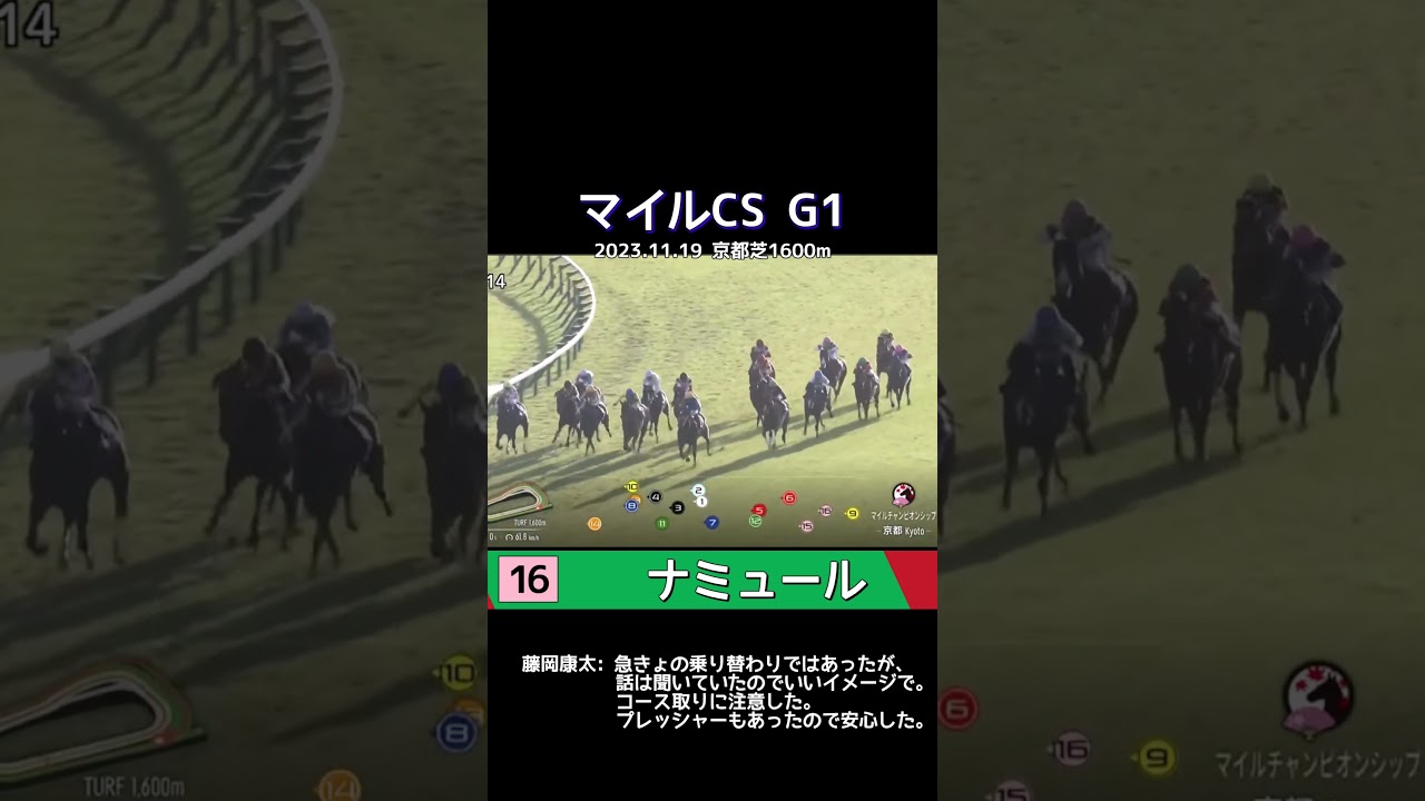 【 競馬 】 藤岡康太の名騎乗！ナミュール！マイルCS G1！ #shorts #競馬