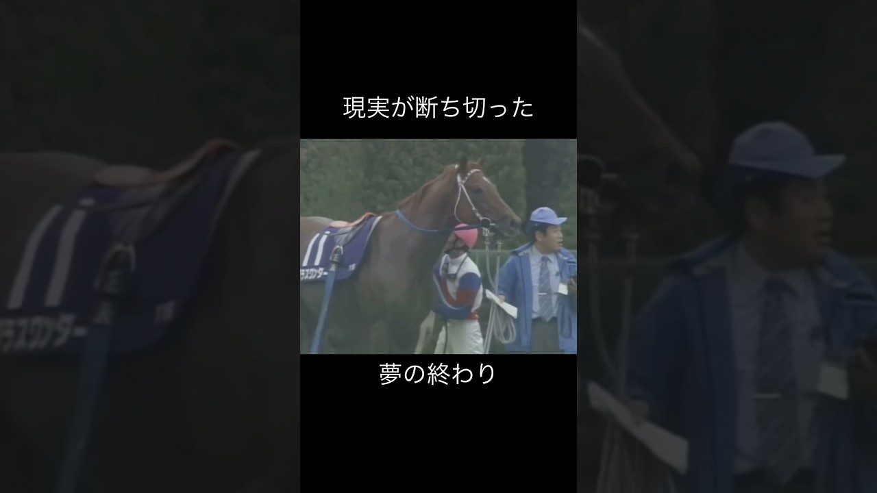 夢が散った宝塚記念　#グラスワンダー #テイエムオペラオー #メイショウドトウ #ステイゴールド #競馬 #サラブレッド #騎手 #宝塚記念 #的場均 #蛯名正義