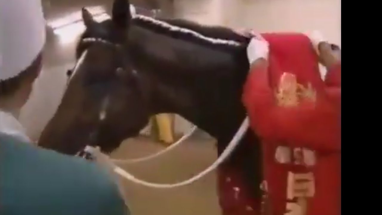 1991年 トウカイテイオー 日本ダービー