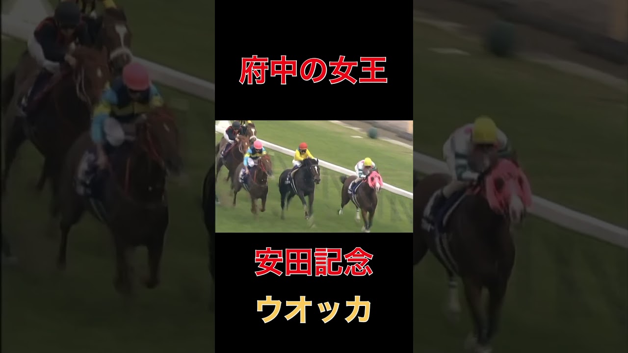 府中の女王ウオッカ【安田記念】#府中#ウオッカ#安田記念