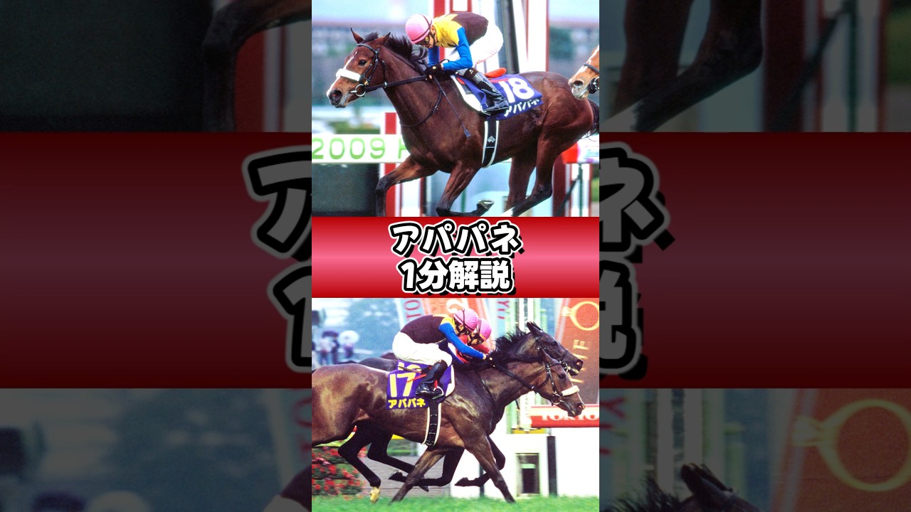 アパ子ちゃん！！！！！ #アパパネ #1分解説 #shorts