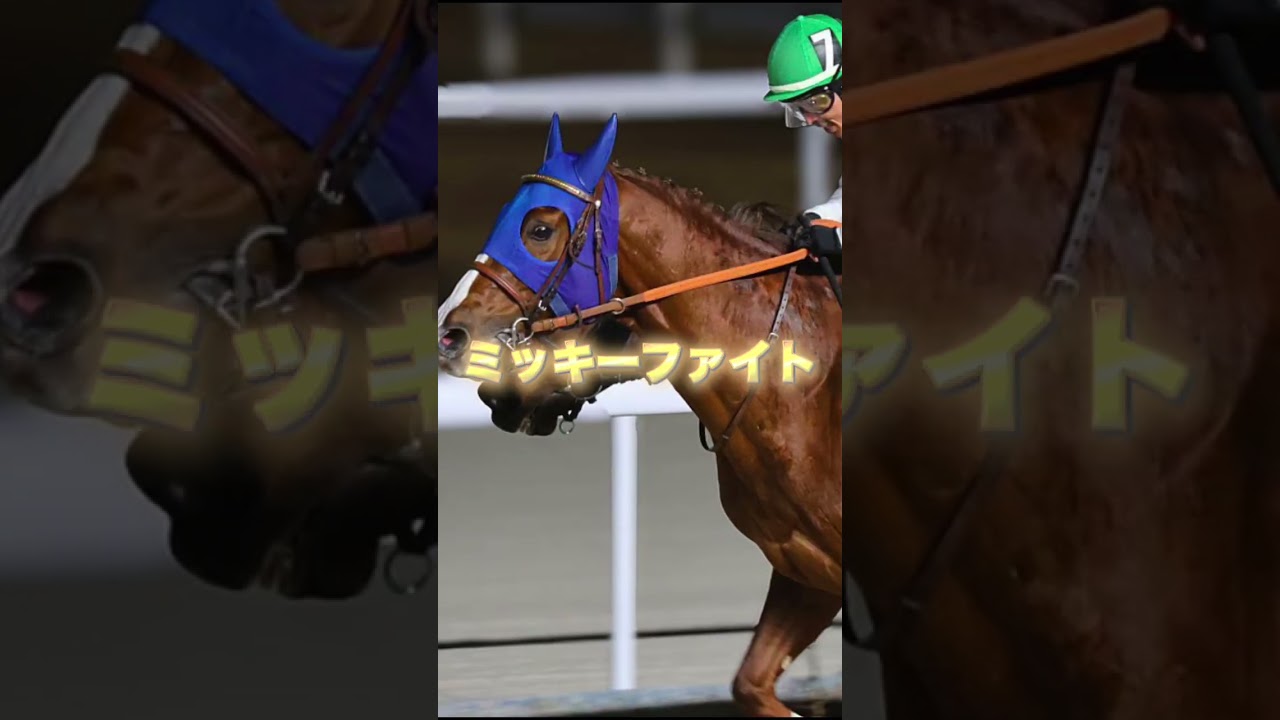 G1フェブラリーSの注目馬を3頭紹介＃競馬＃競馬予想＃コスタノヴァ＃エンペラーワケア＃ミッキーファイト＃G1