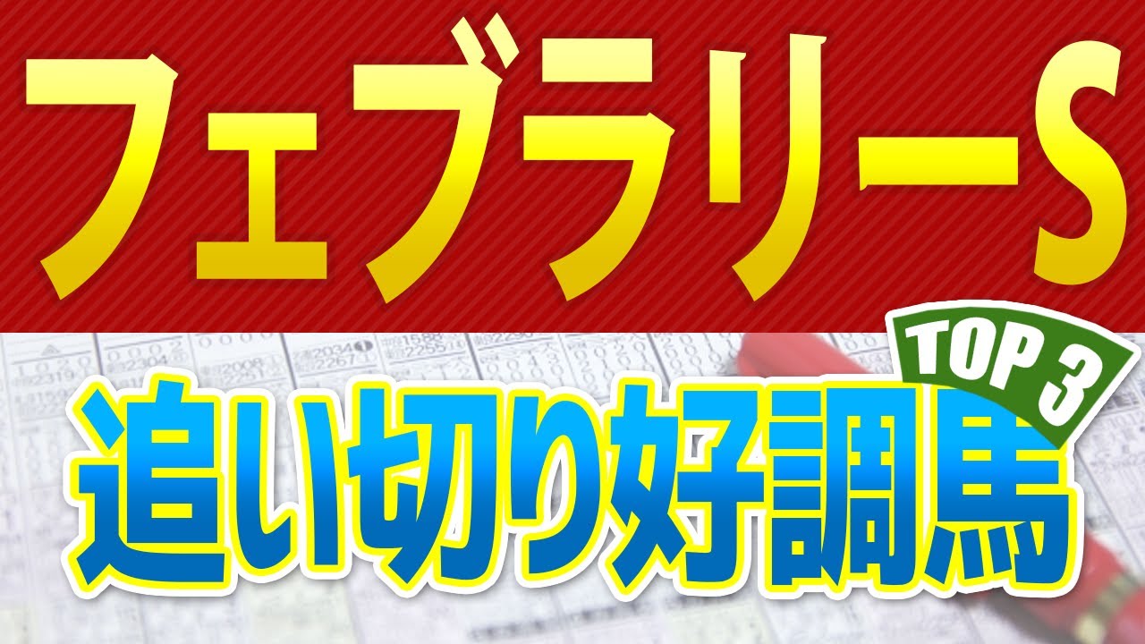 【フェブラリーステークス2025】最終追い切りが高評価だった「トップ3」はこの馬だ🐴 ～JRAフェブラリーS競馬予想～ 共同記者会見インタビュー