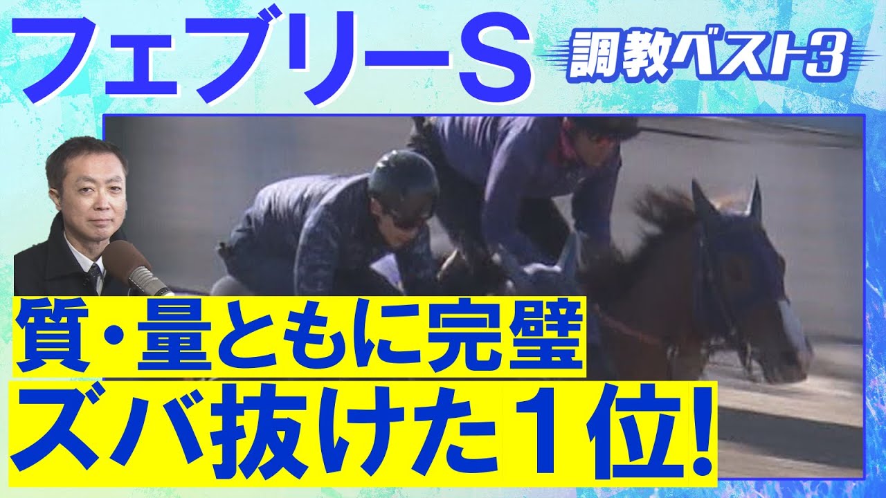 「レモンポップより濃密な調教！？」ミッキーファイト、コスタノヴァ、 エンペラーワケア・・・競馬エイト・高橋賢司トラックマンの調教解説＜フェブラリーステークス(ＧⅠ)＞