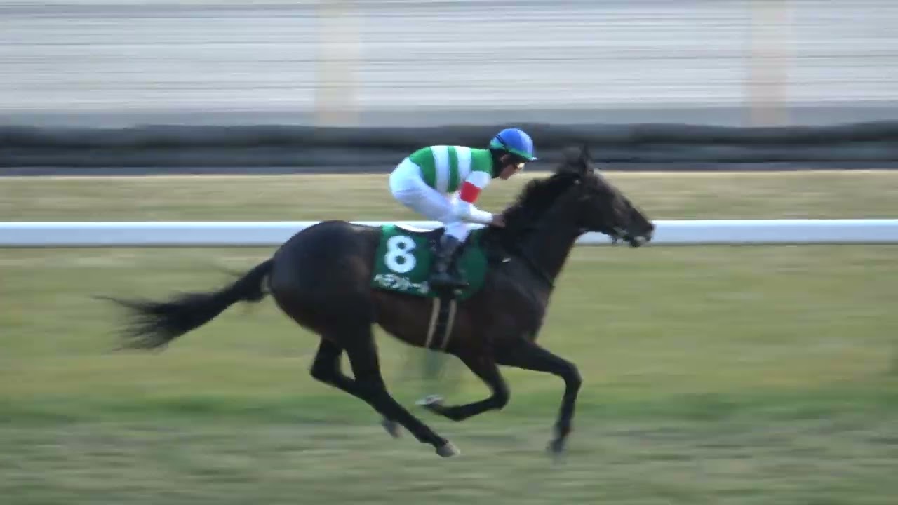 【ダイヤモンドステークス2025】 菊花賞2着馬のヘデントールが重賞初制覇 ‼ 現地映像 ヘデントール