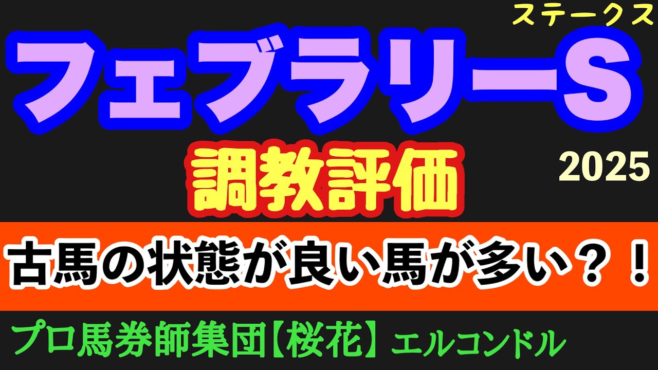 エルコンドル氏のフェブラリーステークス2025調教評価！！人気馬もしっかり仕上げてきた！しかし古馬勢も状態上向きな馬が数頭いる！？レースに向けますます悩ましくなる一戦！