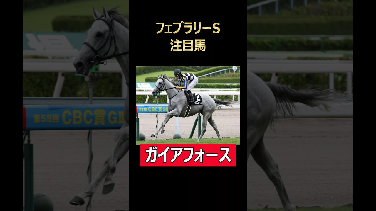 フェブラリーS注目馬 ガイアフォース！#ガイアフォース #フェブラリーステークス #東京競馬 #東京競馬場