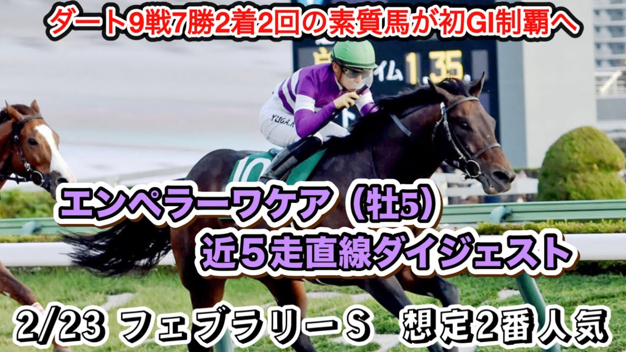 【エンペラーワケア】フェブラリーＳ想定2番人気！近5走直線ダイジェスト