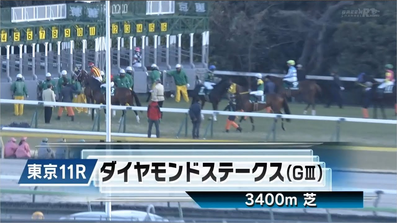 【競馬】2025年 第75回ダイヤモンドステークス(GⅢ)【ヘデントール / 戸崎圭太】