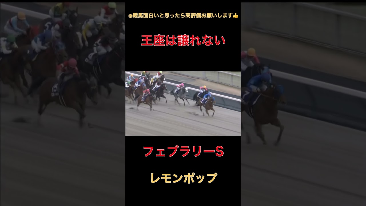 王座は譲れないレモンポップ【フェブラリーS】#競馬#名馬#ファン