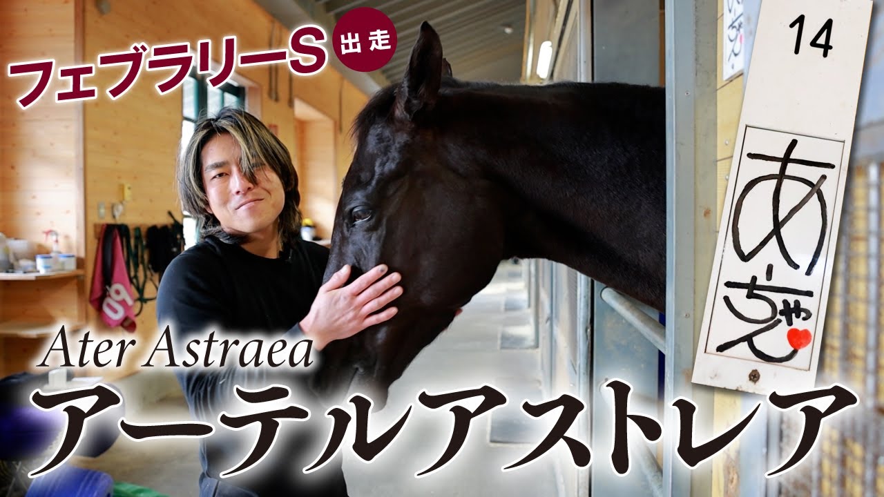 【アーテルアストレア】　SNSで話題の美人馬！フェブラリーSで引退目前…担当者が語る"あーちゃん"愛　#競馬 #keiba #フェブラリーS