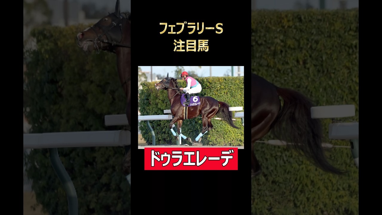 フェブラリーS注目馬 ドゥラエレーデ！#フェブラリーステークス #東京競馬場 #ドゥラエレーデ