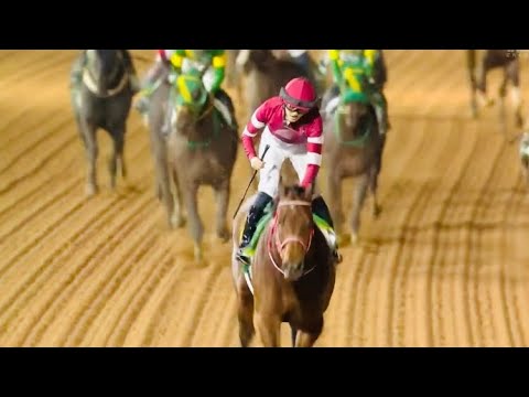 2025 サウジカップ  フォーエバーヤング