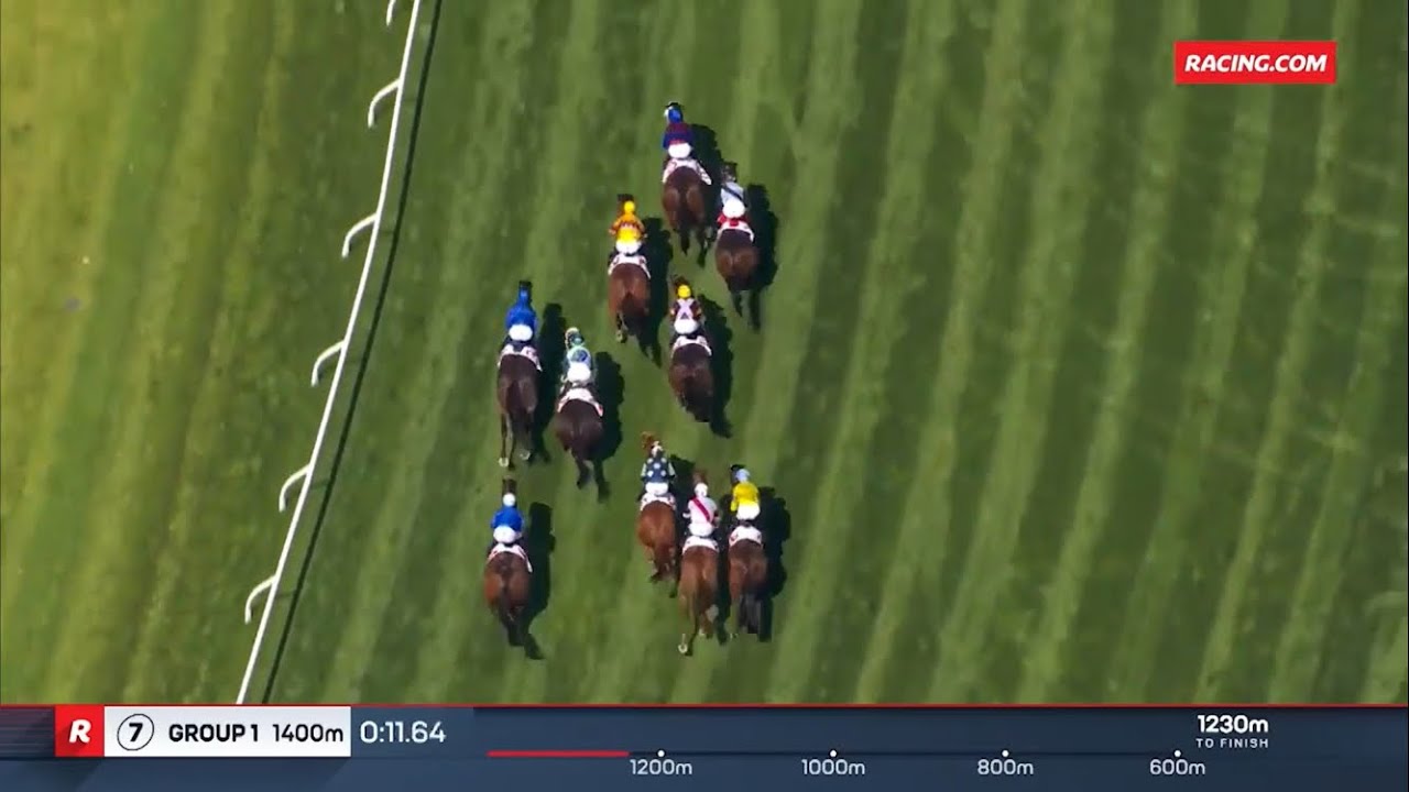 フューチュリティS 2025 / Lamaro's Hotel Futurity Stakes 2025