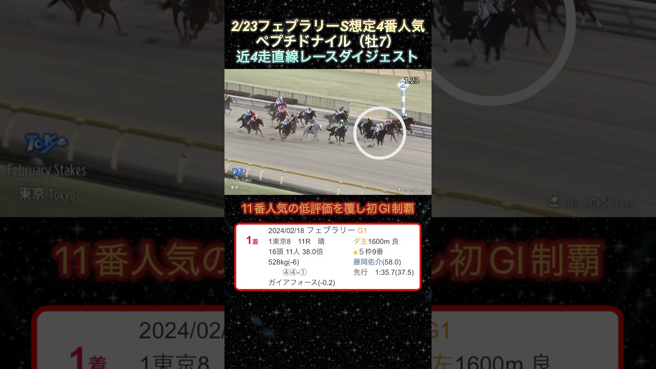 【ペプチドナイル】フェブラリーS想定4番人気！近4走ダイジェスト  #競馬  #ペプチドナイル  #フェブラリーステークス   #shorts