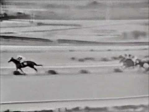 1965年桜花賞　ハツユキ