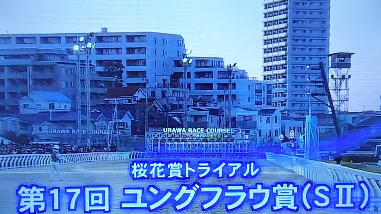 2025 第17回ユングフラウ賞(S2・桜花賞トライアル)