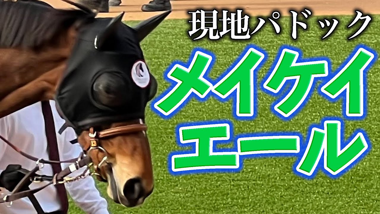【現地パドック】メイケイエール【'23 安田記念 / '23 スプリンターズS / '24 京都牝馬S / '24 高松宮記念・引退式】
