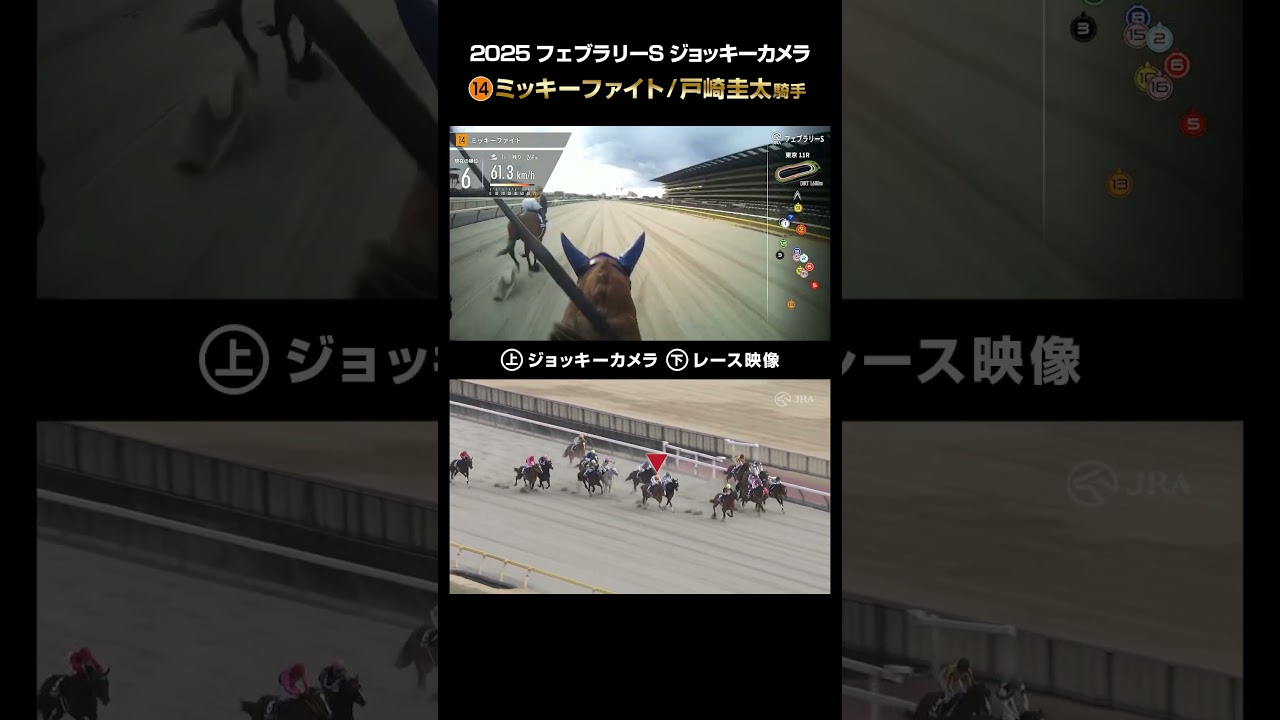 【ジョッキーカメラ×レース映像】2025年フェブラリーステークス ミッキーファイト 戸崎圭太騎手 #shorts ｜JRA公式