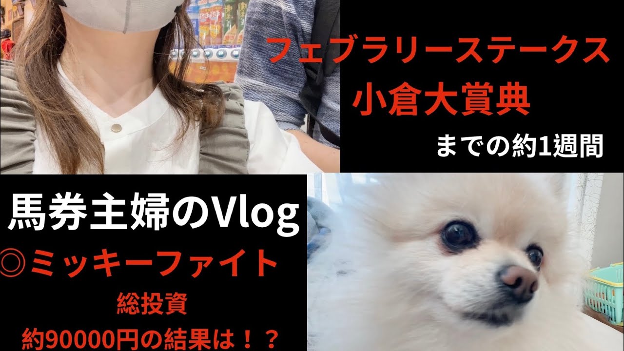 【フェブラリーステークス】馬券主婦のVlog、今年初G1で出資馬アンモシエラと馬券の結果は！？【競馬女子】