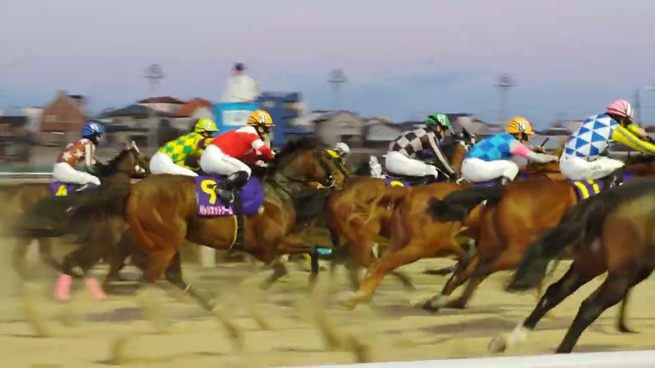 #浦和競馬 #桜花賞トライヤル　#第17回ユングフラウ賞　#s2 #勝利 ㊗️　12番　プラウドフレール号🐴　#勝利騎手　#張田昂　#おめでとう #3連単 12-3-1 #万馬券 12.680円