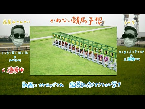 第３８１回　かねない競馬予想【宝塚記念】結果＆上半期の成績　～カケロッピさんの「見やすい動画」を使わせて頂きました～