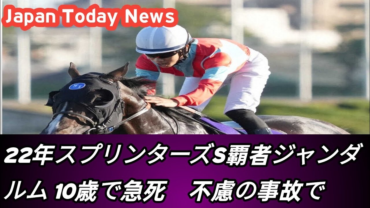 22年スプリンターズS覇者ジャンダルム　10歳で急死　不慮の事故で…