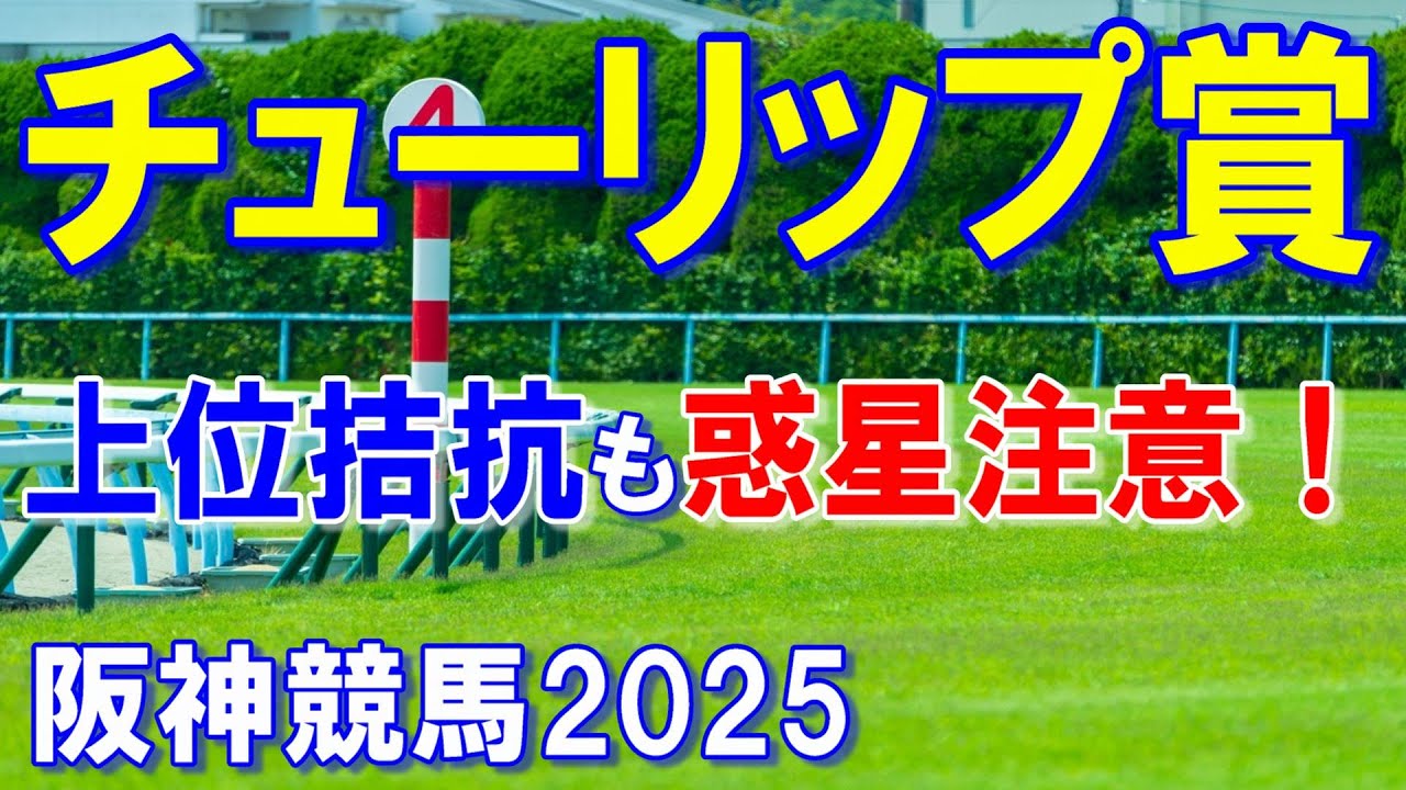 チューリップ賞２０２５【阪神競馬予想】桜花賞への権利を賭け熱戦を期待！