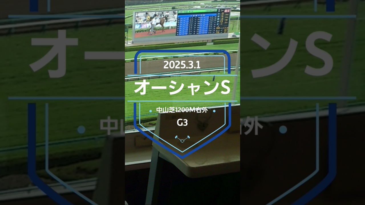 【オーシャンS 2025】上位5頭予想！高松宮記念に向けての最終ステップレース、オーシャンステークスの開催です。