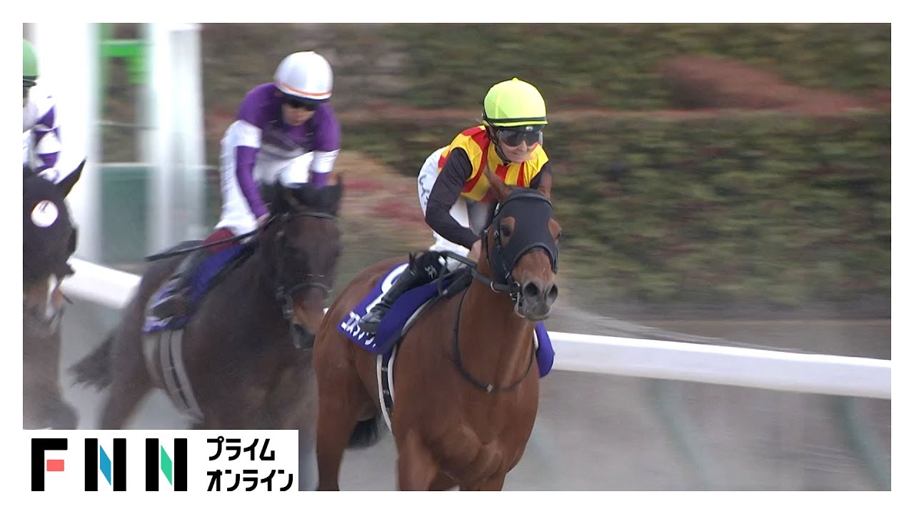 【フェブラリーS】コスタノヴァがフェブラリーステークス完勝！キング騎手　女性騎手史上初のJRA平地GI制覇