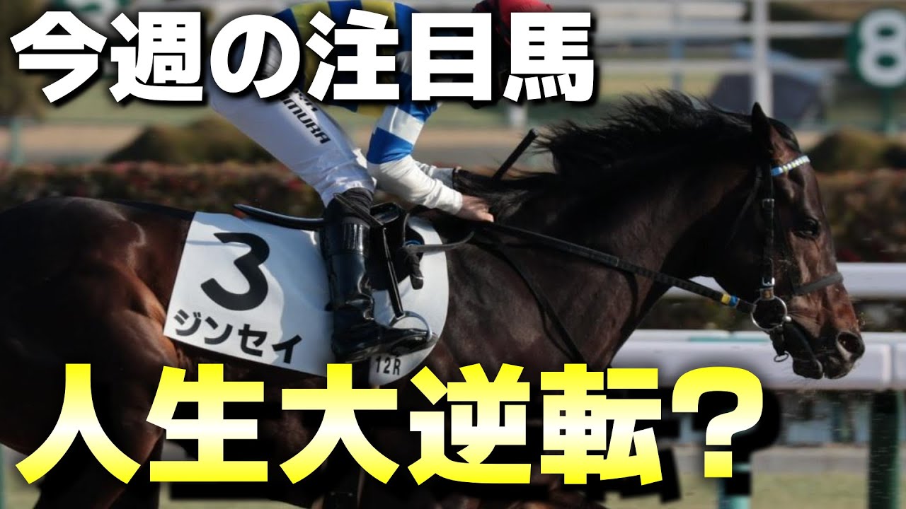 ダートに転身し人生逆転！？