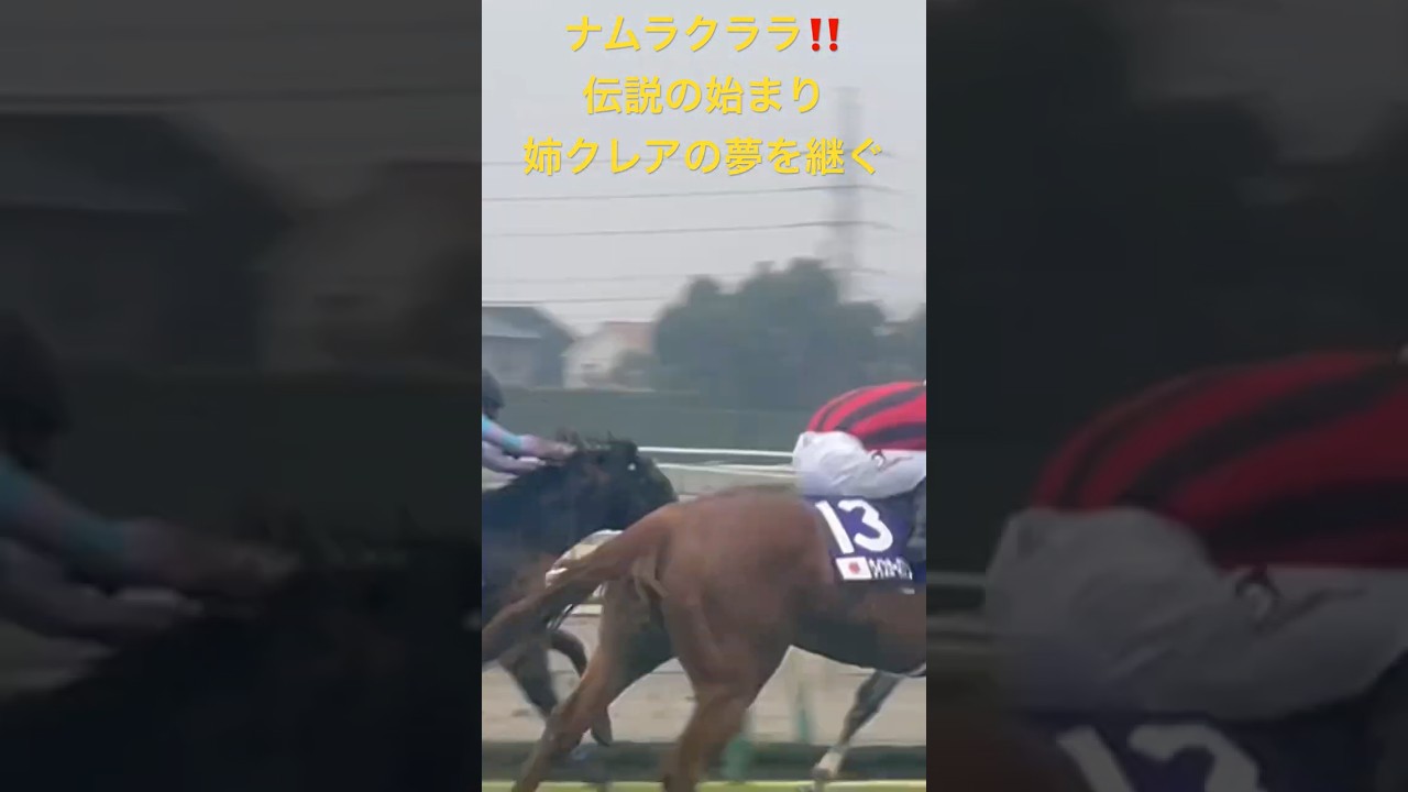 ◎ナムラクララ、伝説の始まり‼️姉ナムラクレアの夢を継ぎ桜花賞制覇へ‼️【チューリップ賞】【ナムラクレアの高松宮記念現地映像】