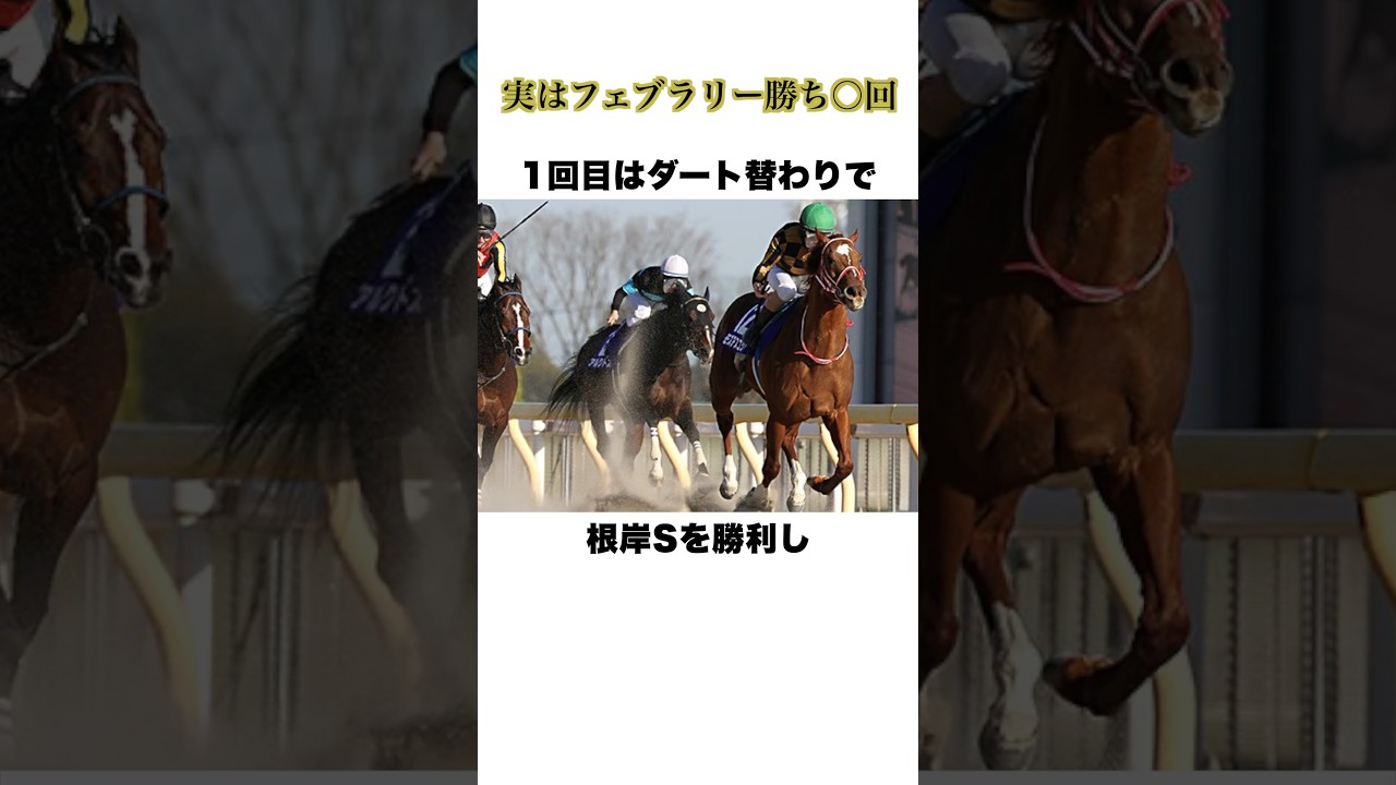 ルメール【フェブラリーS】#フェブラリーステークス #ルメール