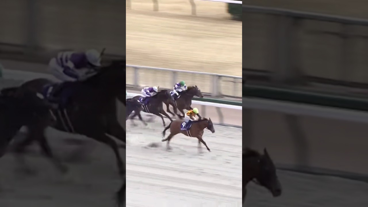 #shorts 2025 フェブラリーステークス #コスタノヴァ #R.キング