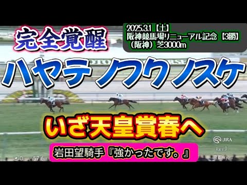 【古馬】ハヤテノフクノスケ勢いそのままに圧勝