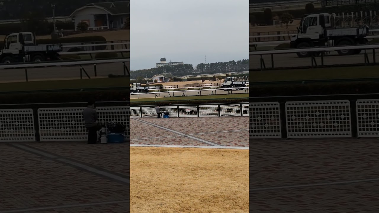 久しぶりの阪神競馬場。　リニューアルして1年ぶりの開催です。　只今　ダ━ト　地ならし中。　阪神競馬場といえば　やはり　桜花賞　宝塚記念。　今日は春霞で甲山　六甲山　霞んでいます。　3/1
