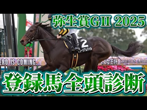 皐月賞の権利を掴むのは？【弥生賞ディープインパクト記念GⅡ 2025 予想】#弥生賞ディープインパクト記念 #皐月賞