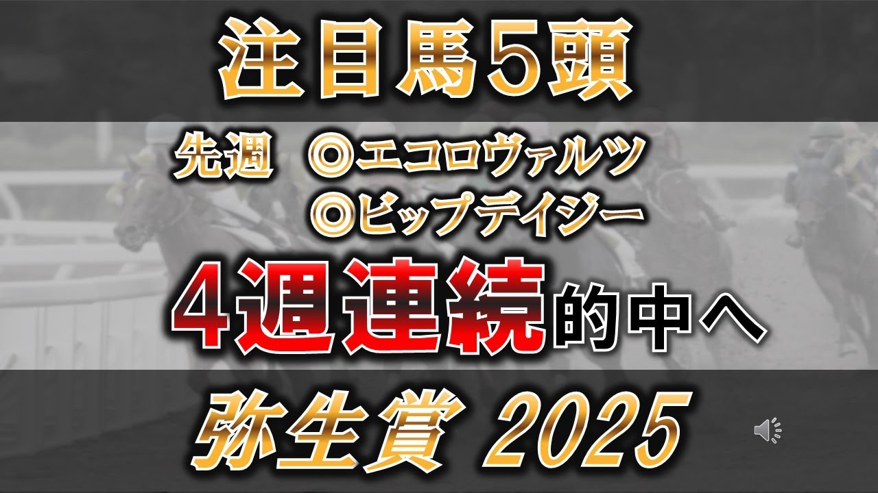 【弥生賞2025】皐月賞でクロワデュノールに対抗できるのはあの馬？！現在2重賞連続で本命馬馬券内入り！