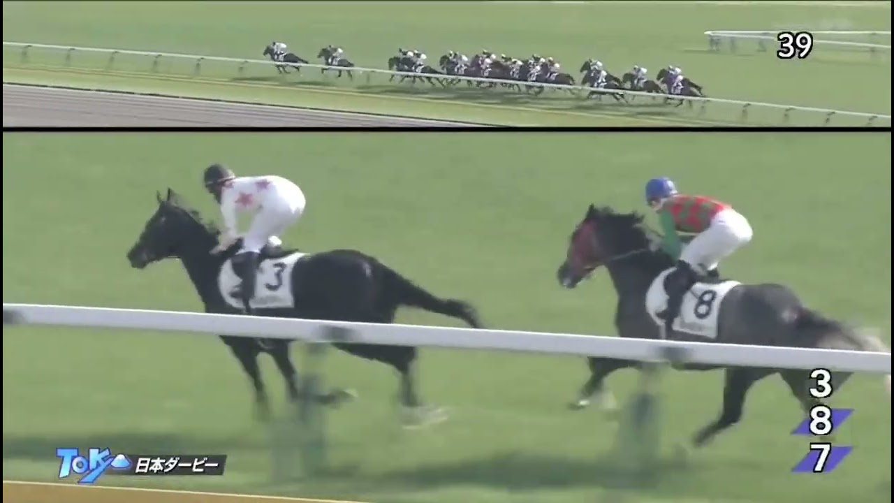 2017年 第84回 日本ダービー (G1)(レイデオロ、Ｃ．ルメール)