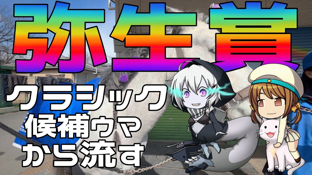 激荒れ！【2025年弥生賞ゆっくり競馬予想】上がり３F最速ウマを狙え！