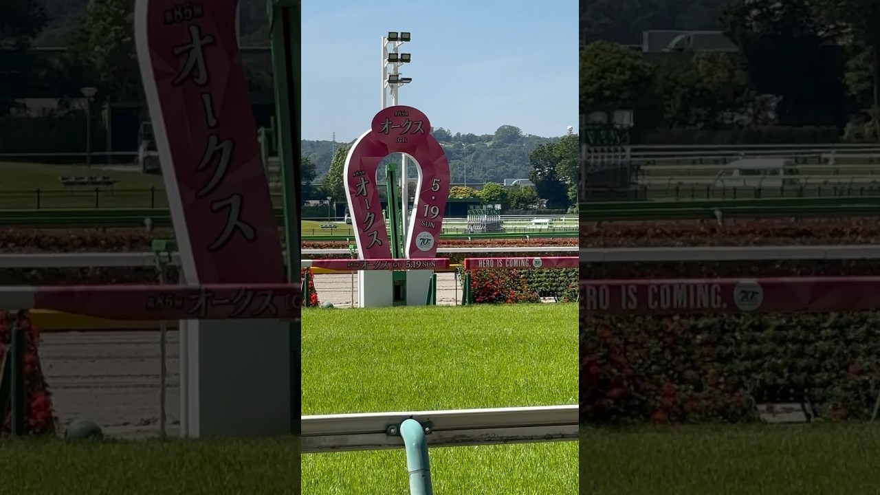 第85回優駿牝馬（オークス）　ゴール板
